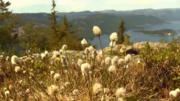 Norwegian nature - Spring (HD - 1080p)