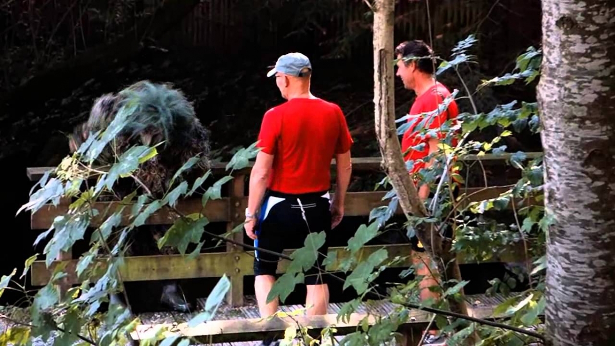 Troll prank in Norway ( very funny )