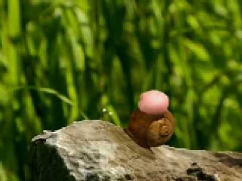 Guma do żucia