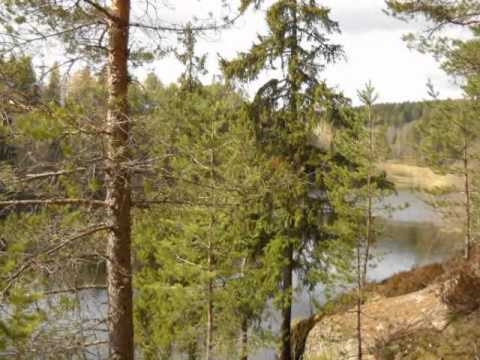 Norwegia moimi oczami