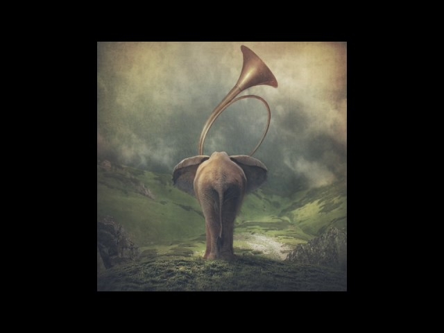 Coccolino Deep - Dancing with Elephant