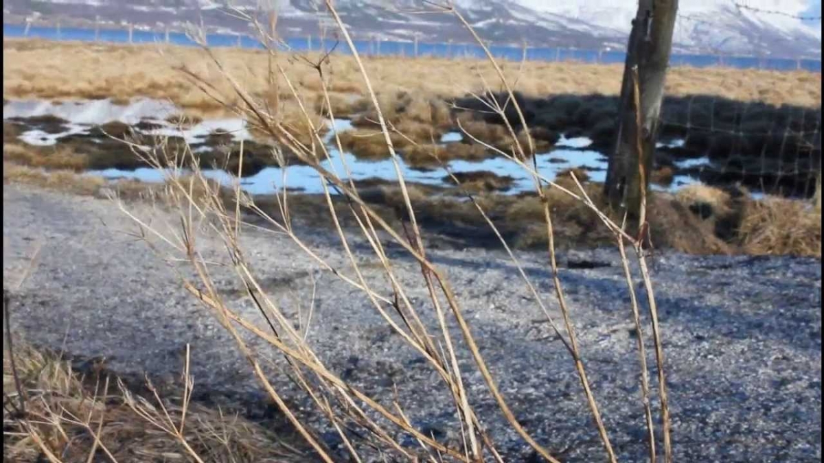 Tisnes - Norway, Spring  [Canon EOS 550D]