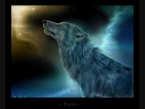 Alone Wolf (violin)