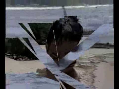 Extreme Kitesurfing Accidents - Frightening
