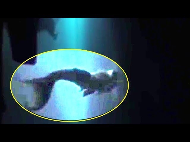 5 Nagrań Video pokazujących Prawdziwe Syreny - część 2