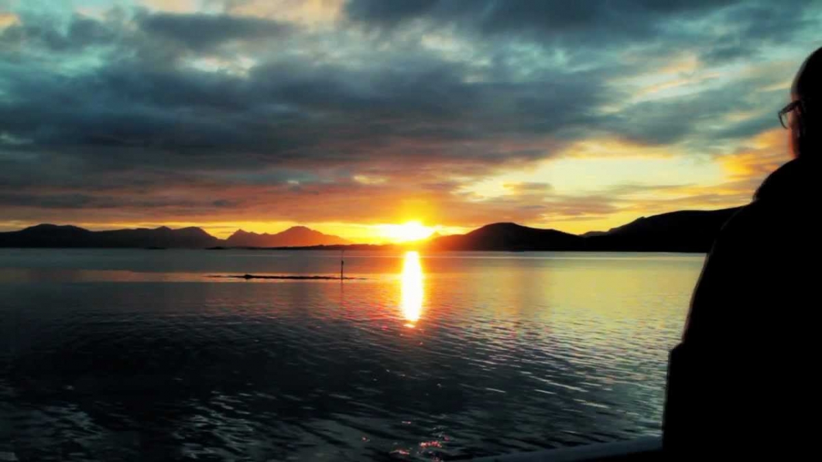 VESTERÅLEN - ARCTIC SUMMER PARADISE