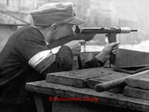 Historia Polski - część druga z dwóch 2/2