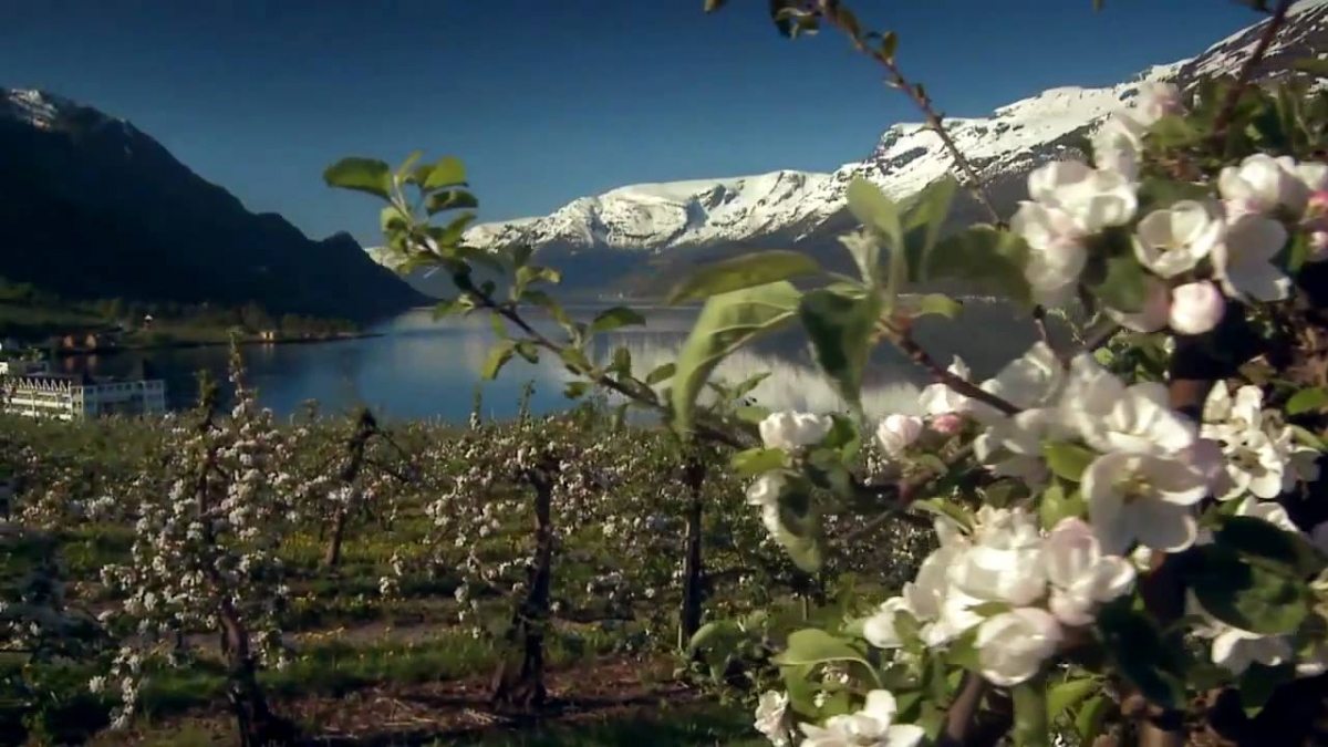 Norway Powered by Nature HD.mov