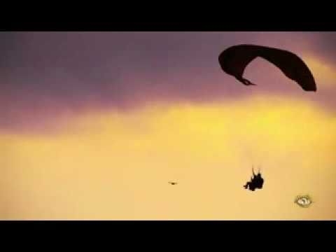 ATB - Vice Versa (ATB and Armin van Buuren) 2011