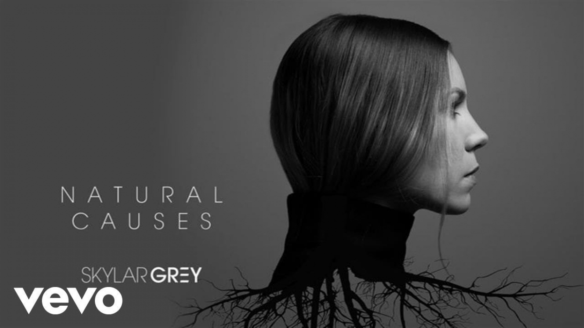 Skylar Grey - Kill For You (Audio) ft. Eminem