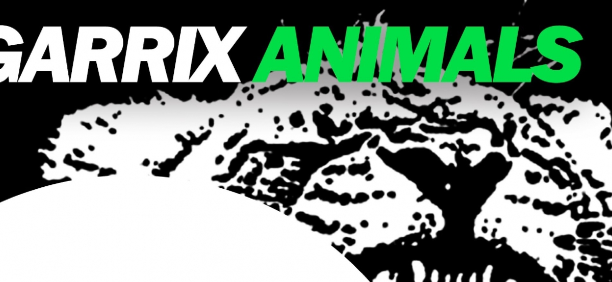 Martin Garrix - Animals (Original Mix)