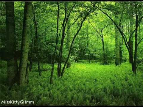 Within Temptation - In Perfect Harmony