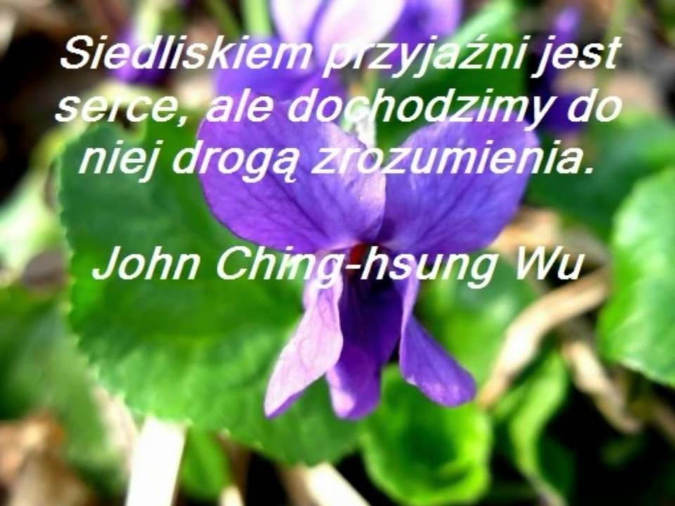 Prawdziwy przyjaciel jest z tobą na dobre i na złe.