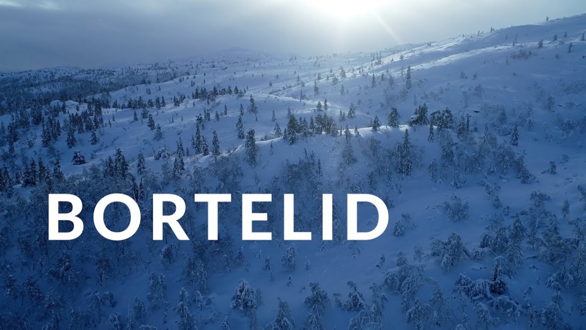 Bortelid 2021 - drone 4K