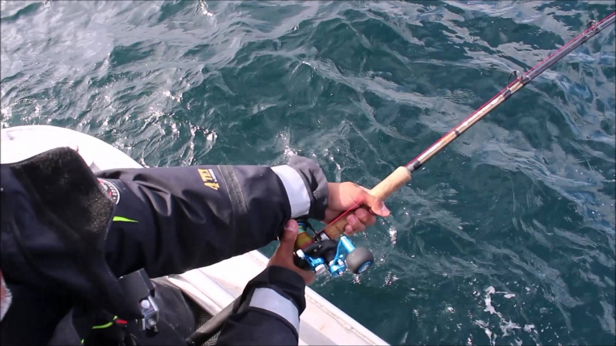 Big Monster HALIBUT in Norway - 219 cm 300 LBS  (hälleflundra, kveite)