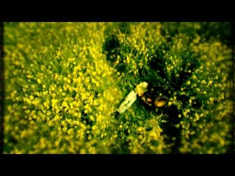 L.U.C - PLANET L.U.C - O WITU