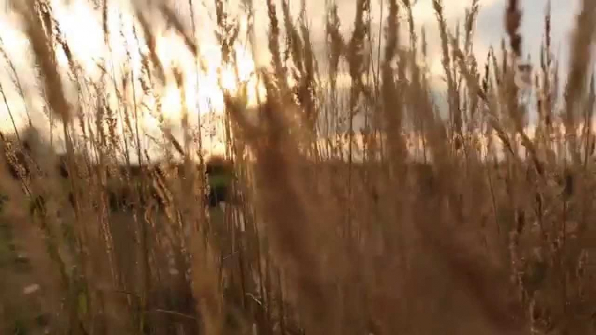Promotional Film - Poland
