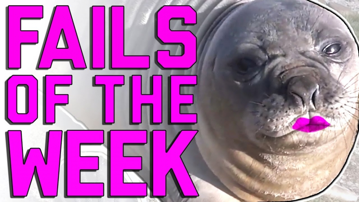 Fails of the Week: Yes We Did (January 2017) || FailArmy