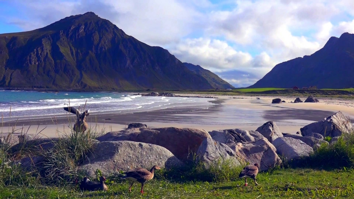Colors of Norway - Adios Ayer