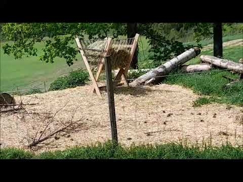REVETAL- Atmosfæren min -Moje klimaty.