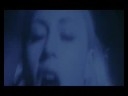 LOST HIGHWAY INSENSATEZ